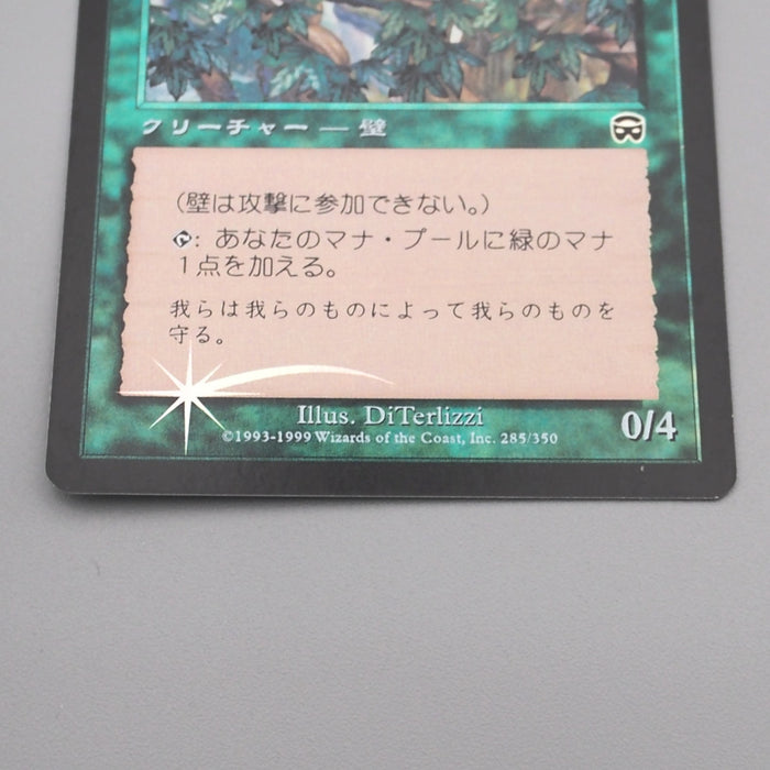 MTG Magic the Gathering Vine Trellis 285/350 Foil NM-EX 1999 Japanese s731 | Merry Japanese TCG Shop