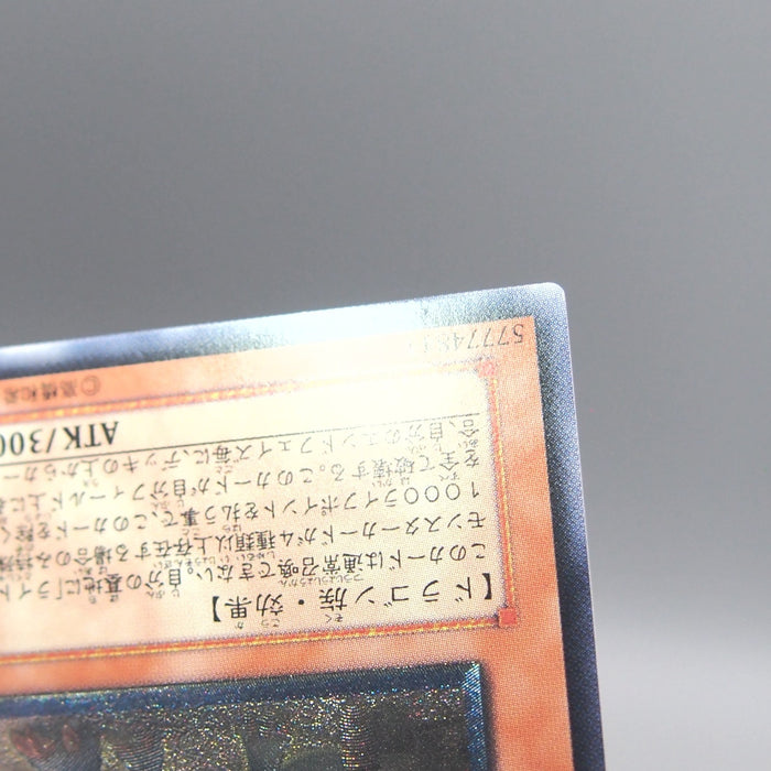 Image #7