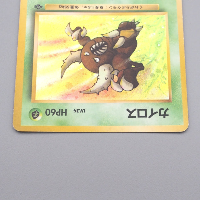 Pokemon Card Pinsir Lv.24 No.127 Old Back Holo Rare EX-VG Japanese r964 | Merry Japanese TCG Shop