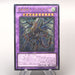 Yu-Gi-Oh Dragon Knight Draco-Equiste DREV-JP038 Ultimate 2010 NM Japanese u073 | Merry Japanese TCG Shop