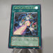 Yu-Gi-Oh Triangle Ecstasy Spark RDS-JP039 Ultimate Rare Harpie NM Japanese j413 | Merry Japanese TCG Shop