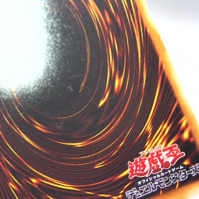 Image #11