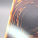 Image #12