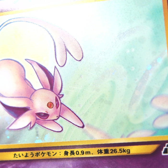 Image #11
