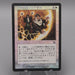 MTG Magic the Gathering Shieldmage Advocate 22/143 Foil NM-EX 2002 Japanese t228 | Merry Japanese TCG Shop