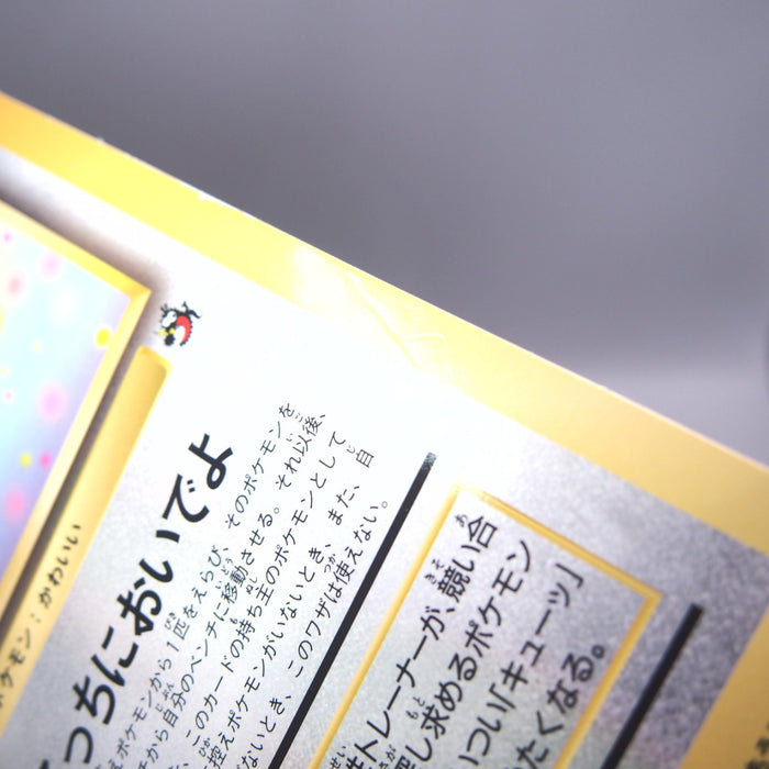 Image #11