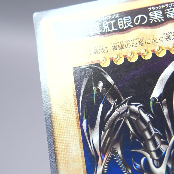 Image #12