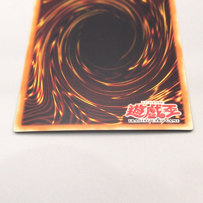 Image #10