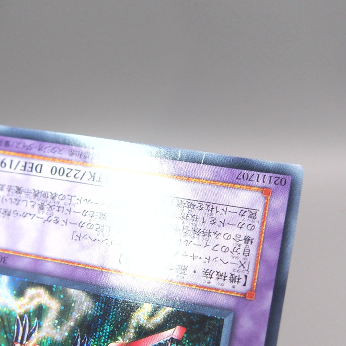 Image #10