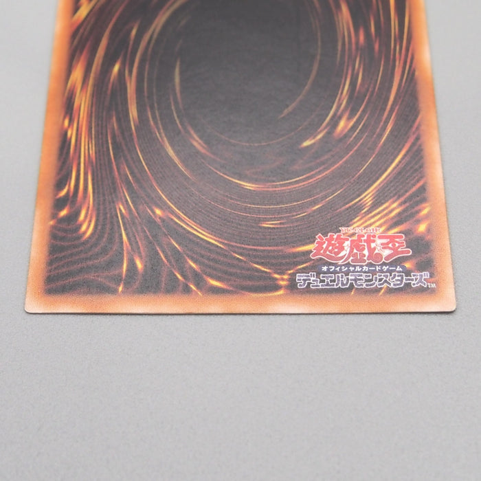 Image #10