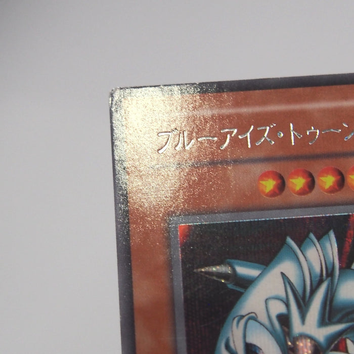 Image #8