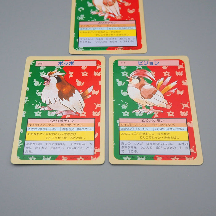 Pokemon Card Pidgeot Pidgeotto Pidgey 3 set Top Sun NM Green Back Japanese q964 | Merry Japanese TCG Shop