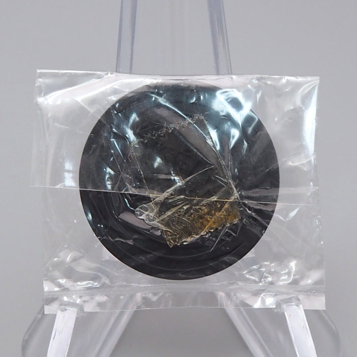 Pokemon Card Game Ho-Oh orange Coin Old Back NEW Japanese CN045 | Merry Japanese TCG Shop