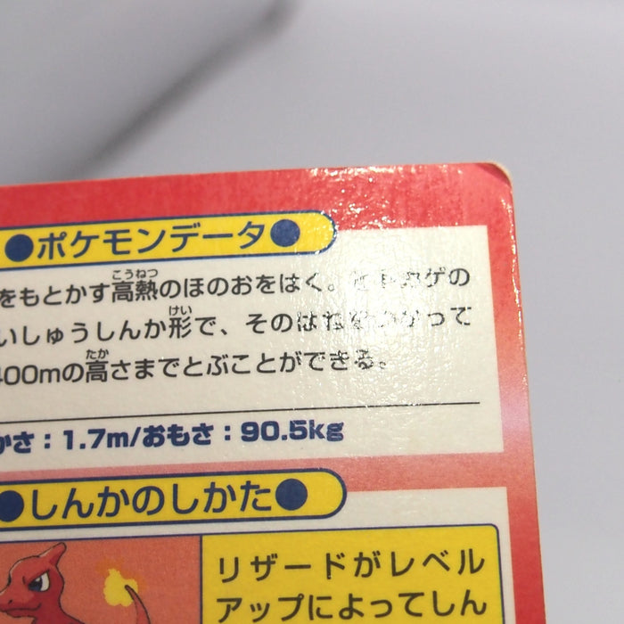 Image #11