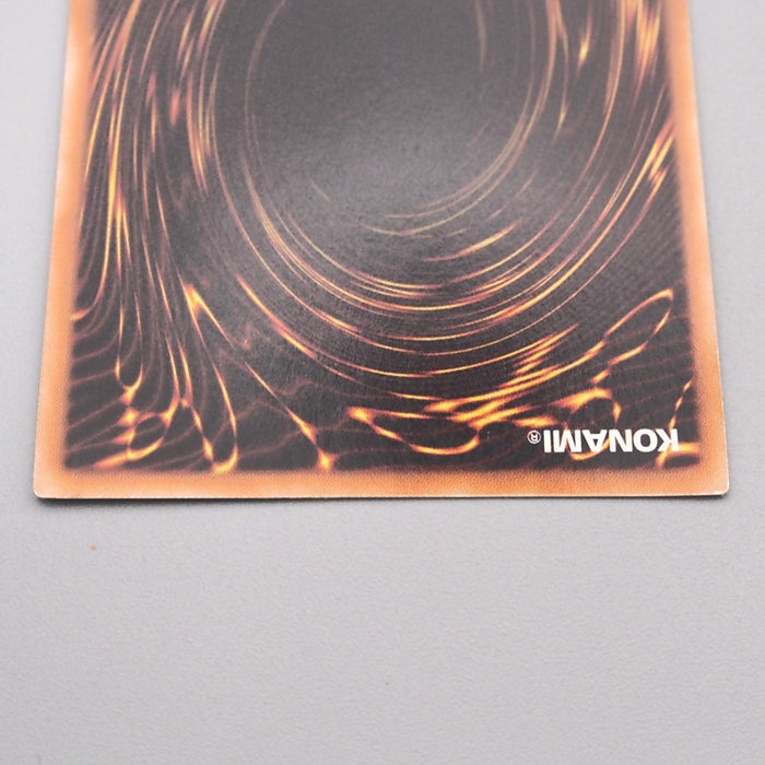 Yu-Gi-Oh Rainbow Dark Dragon PTDN-JP003 Ultimate Rare NM-EX Japanese s832 | Merry Japanese TCG Shop