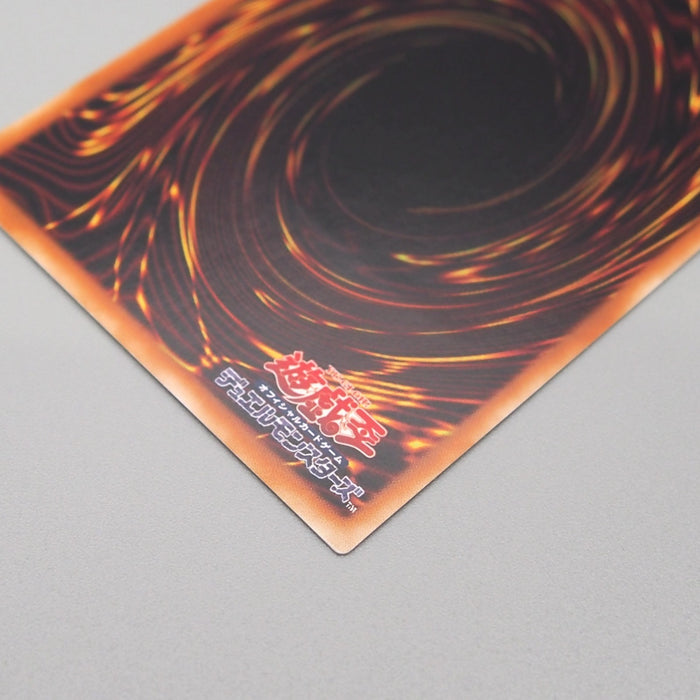Image #10