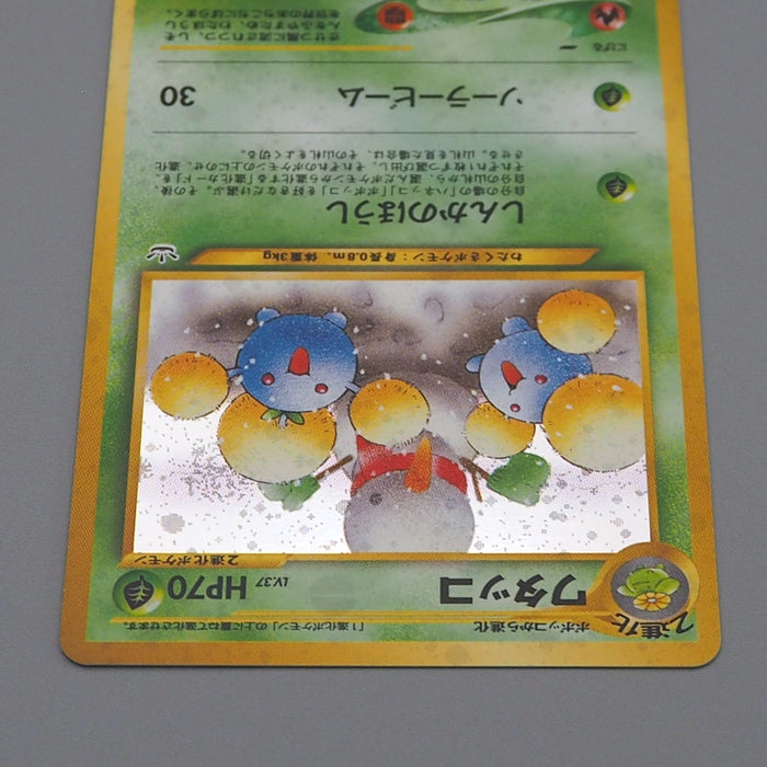 Pokemon Card Jumpluff Lv.37 No.189 Old Back Holo 2000 Nintendo NM Japanese q254 | Merry Japanese TCG Shop