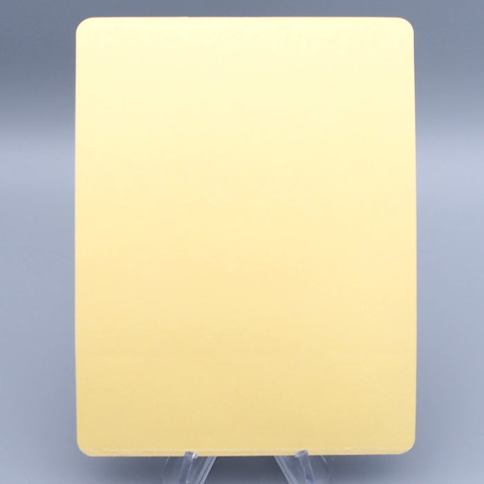 Pokemon Card BIG Sticker Blastoise No.34 Nagatanien Holo EX Japanese P314 | Merry Japanese TCG Shop