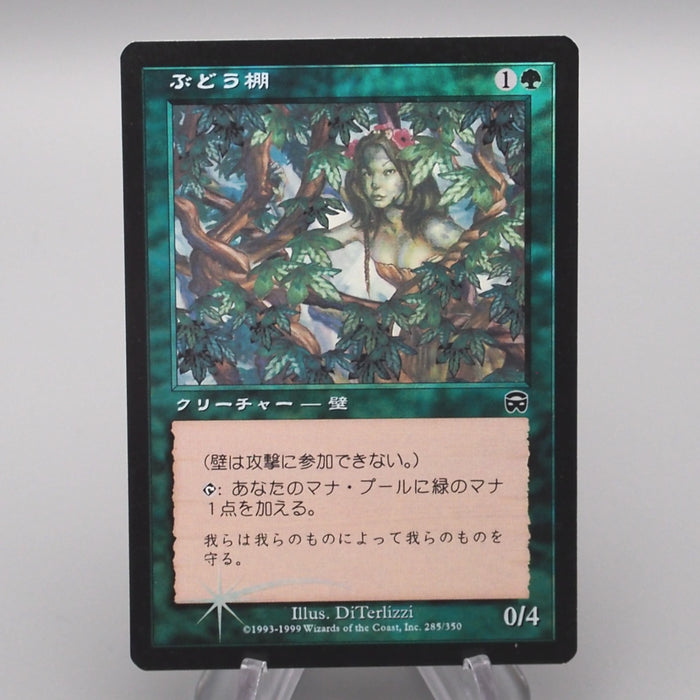 MTG Magic the Gathering Vine Trellis 285/350 Foil NM-EX 1999 Japanese s731 | Merry Japanese TCG Shop