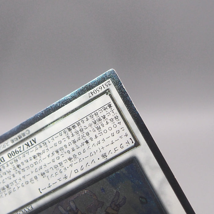 Image #10