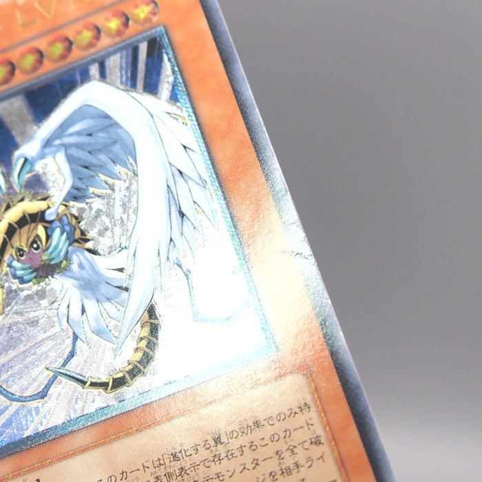 Image #8