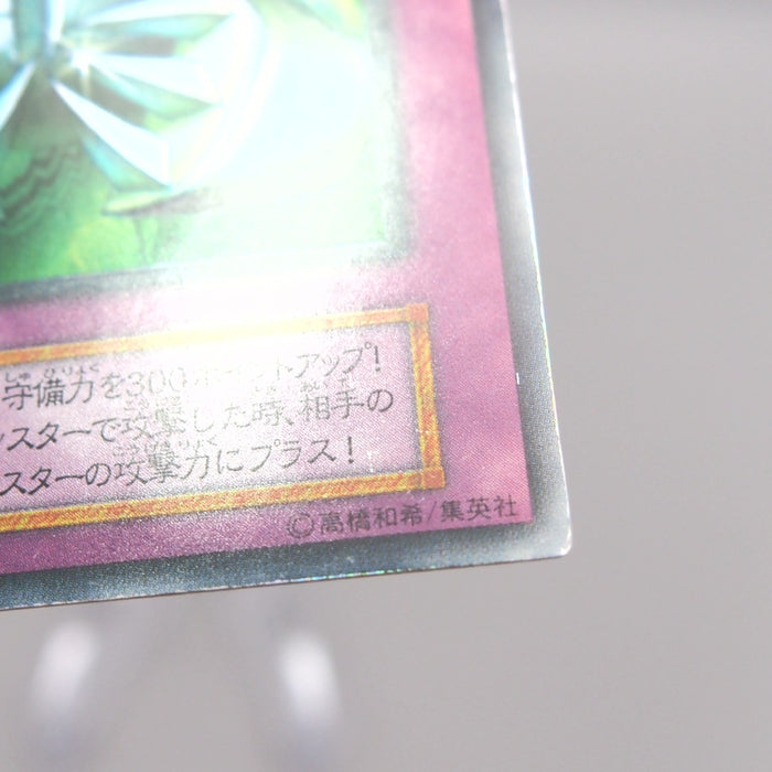 Image #8