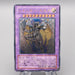 Yu-Gi-Oh Rainbow Neos PTDN-JP044 Ultimate Rare 2007 EX Japanese s204 | Merry Japanese TCG Shop