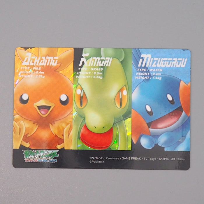 Pokemon Card Zukan Carddass Treecko Torchic Mudkip 05 Prism NM-EX Japanese n732 | Merry Japanese TCG Shop