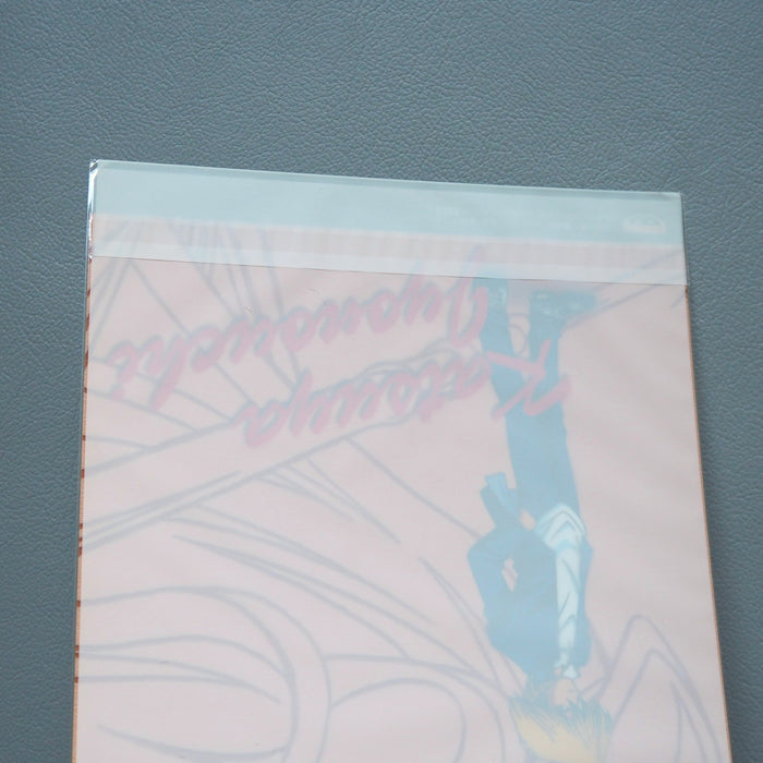 Yu-Gi-Oh Seto Kaiba Blue-Eyes White Dragon Plastic Board Unopened Japanese 31 | Merry Japanese TCG Shop