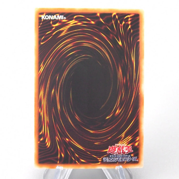 [Dear. BET] 31 set Pokemon Yu-Gi-Oh Japanese